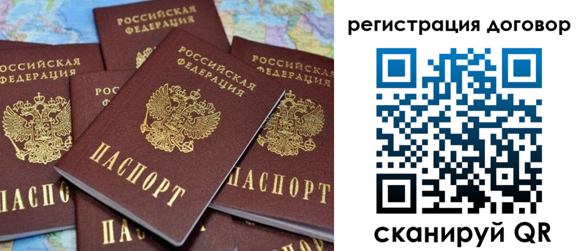 прописка гарантия в Новоалександровске